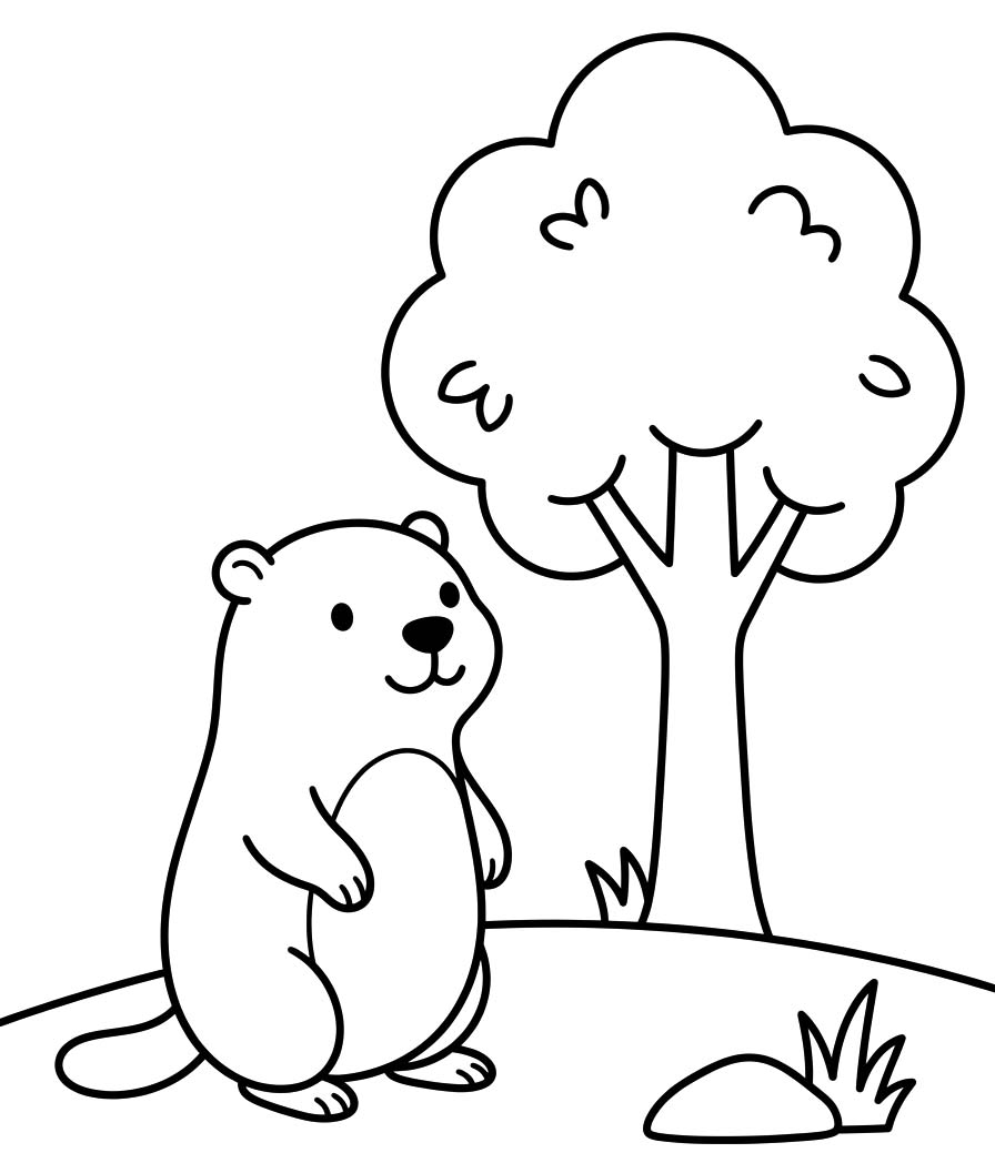 Fise de colorat cu Marmota pentru copii