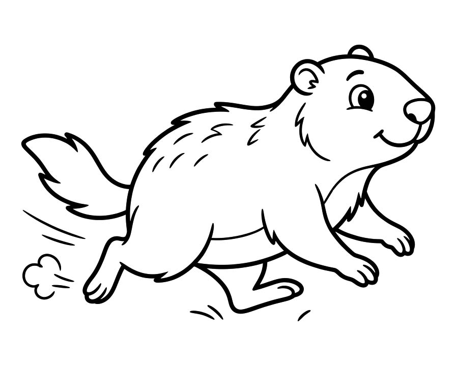 Fise de colorat cu Marmota uşor la copii