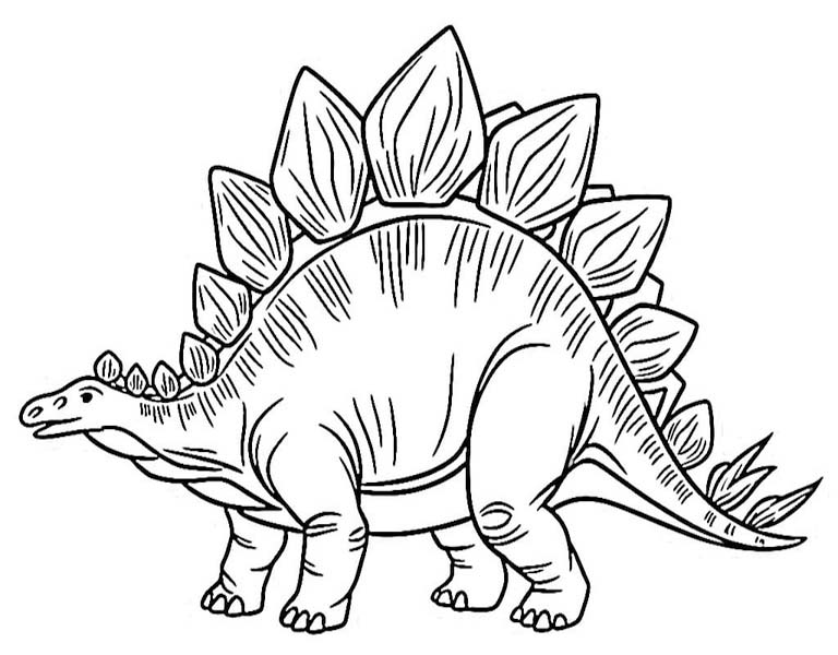Fise de colorat cu Stegosaurus imprimabil gratuit bazic