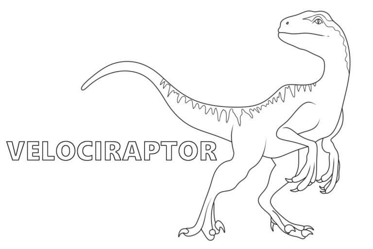 Fise de colorat cu Velociraptor imprimabil gratuit uşor
