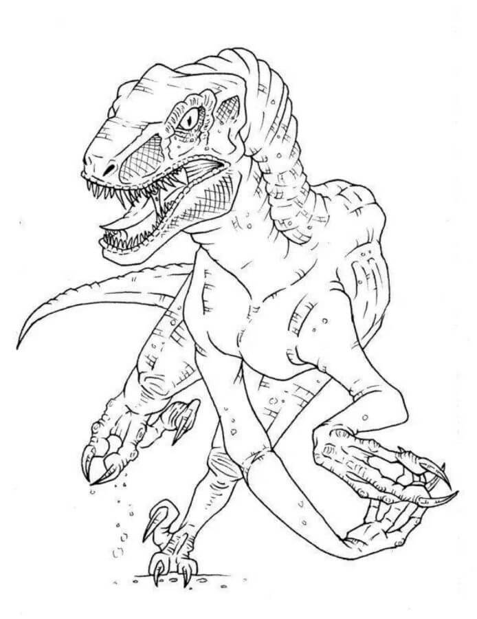 Fise de colorat cu Velociraptor pentru copii