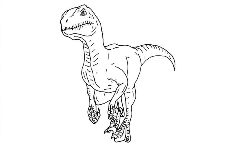 Fise de colorat cu Velociraptor simplu la copii