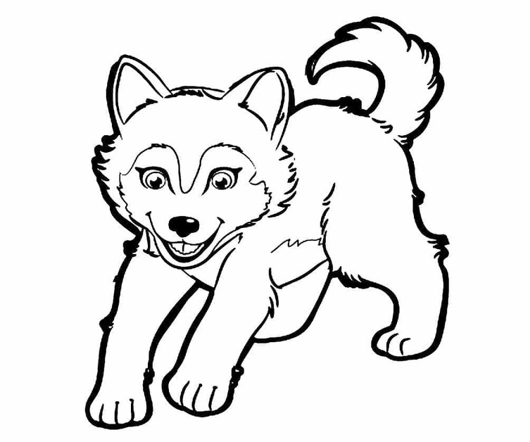 Fise de colorat cu Desenează Husky imprimabil gratuit