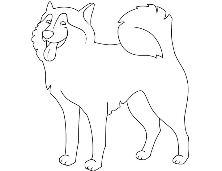 Fise de colorat cu Desenează Husky