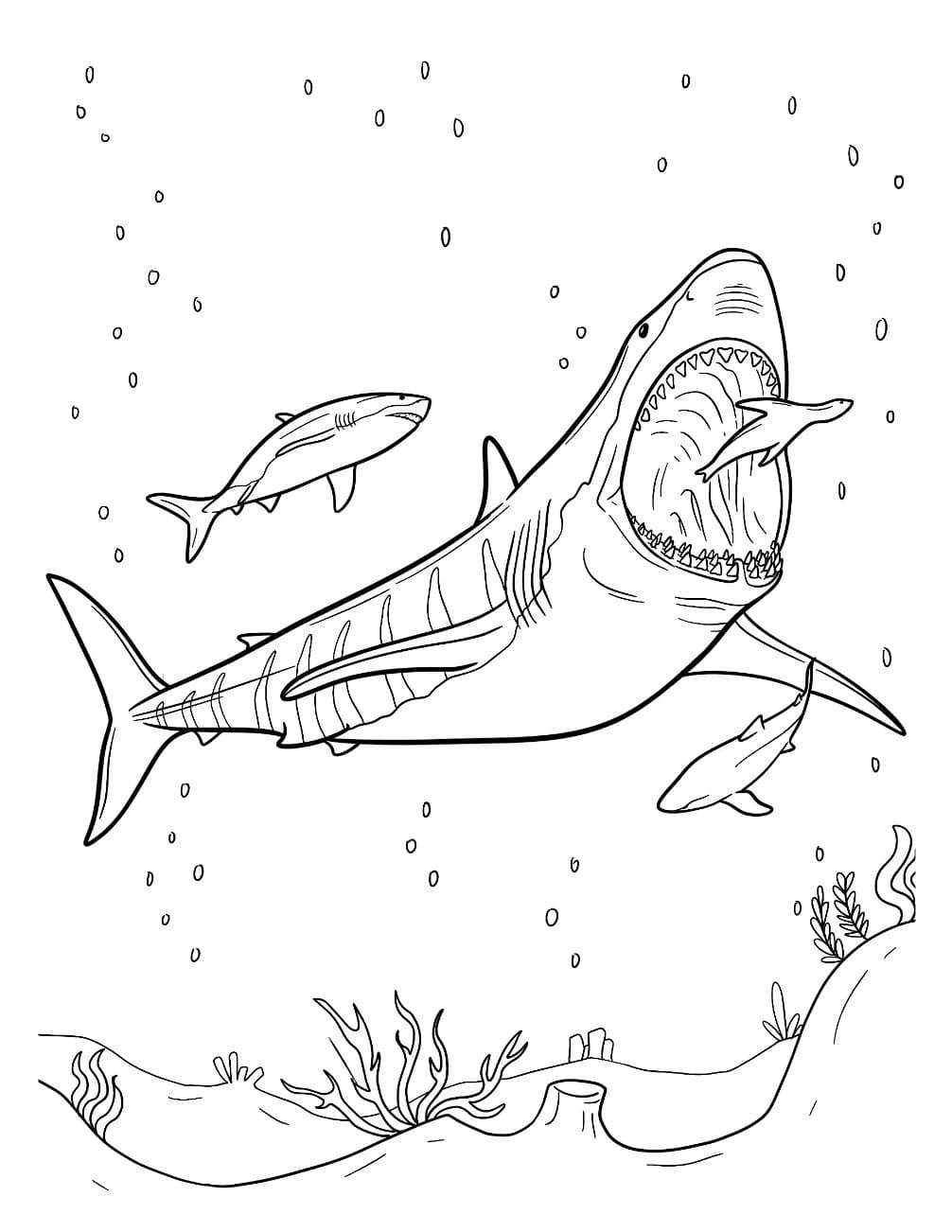 Fise de colorat cu Desenează Megalodon gratuit pentru copii