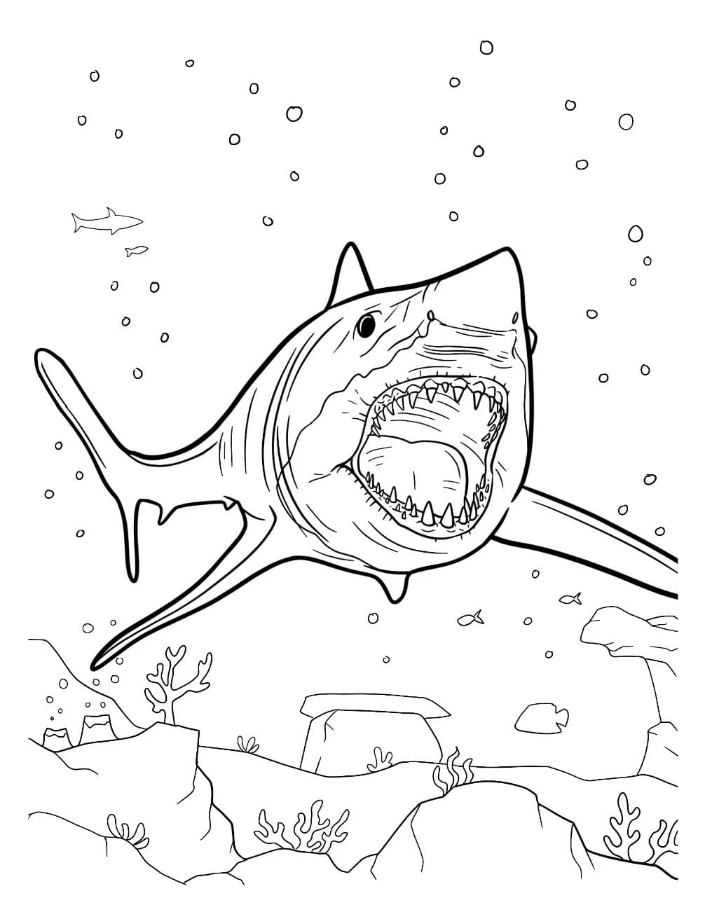 Fise de colorat cu Desenează Megalodon imprimabil gratuit simplu