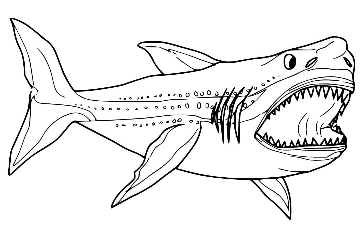 Fise de colorat cu Desenează Megalodon imprimabil pentru copii