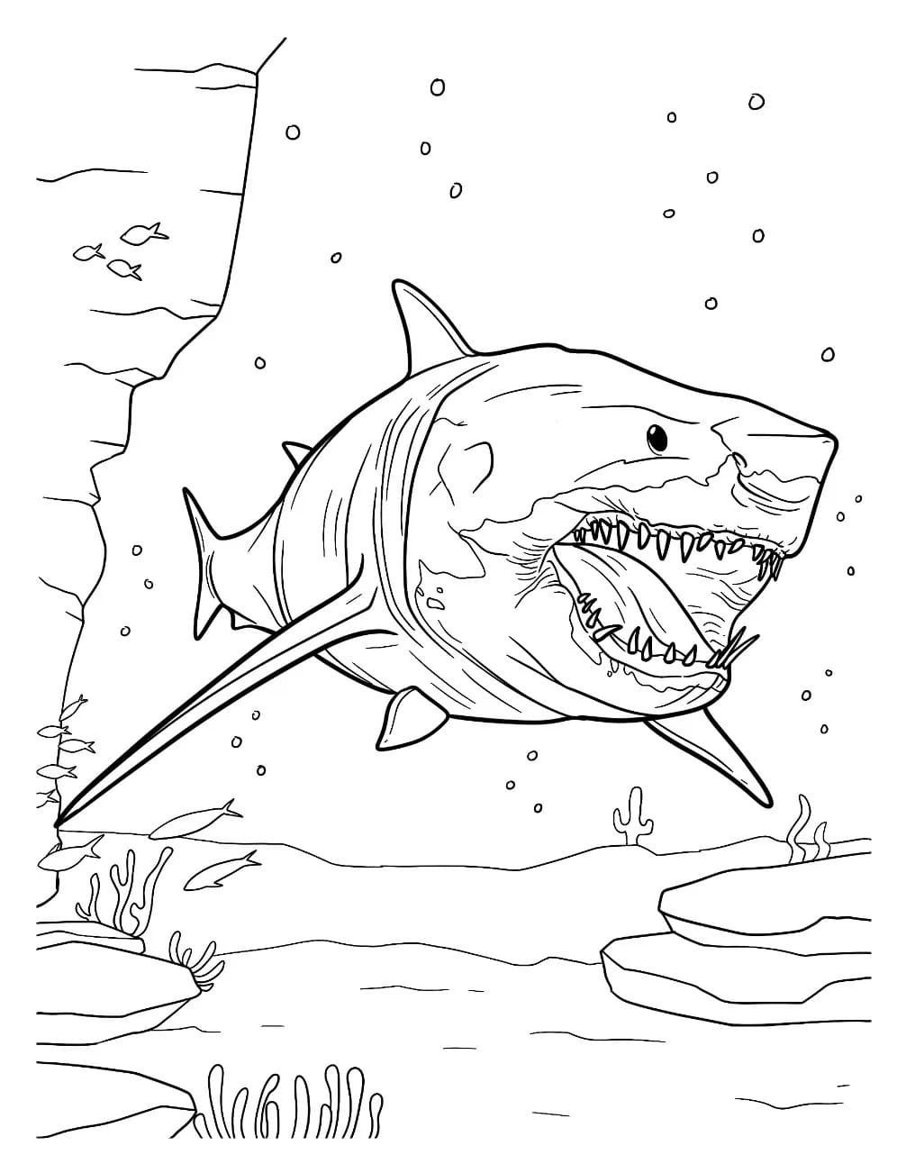 Fise de colorat cu Desenează Megalodon imprimabil simplu