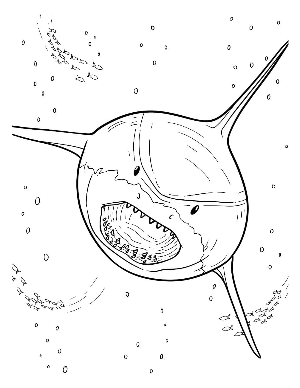 Fise de colorat cu Megalodon gratuit simplu