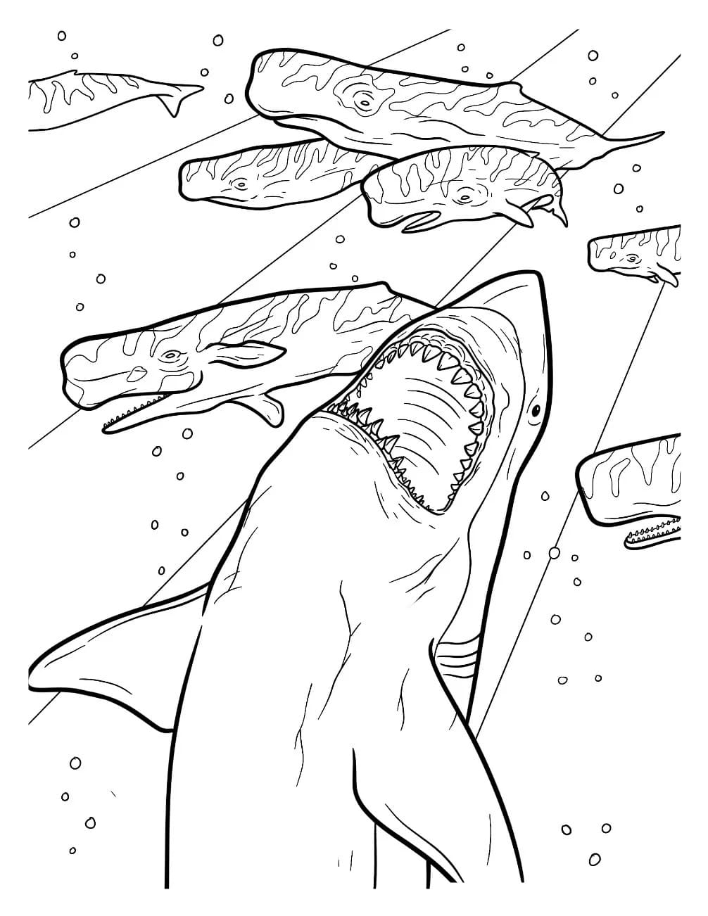 Fise de colorat cu Megalodon imprimabil gratuit bazic