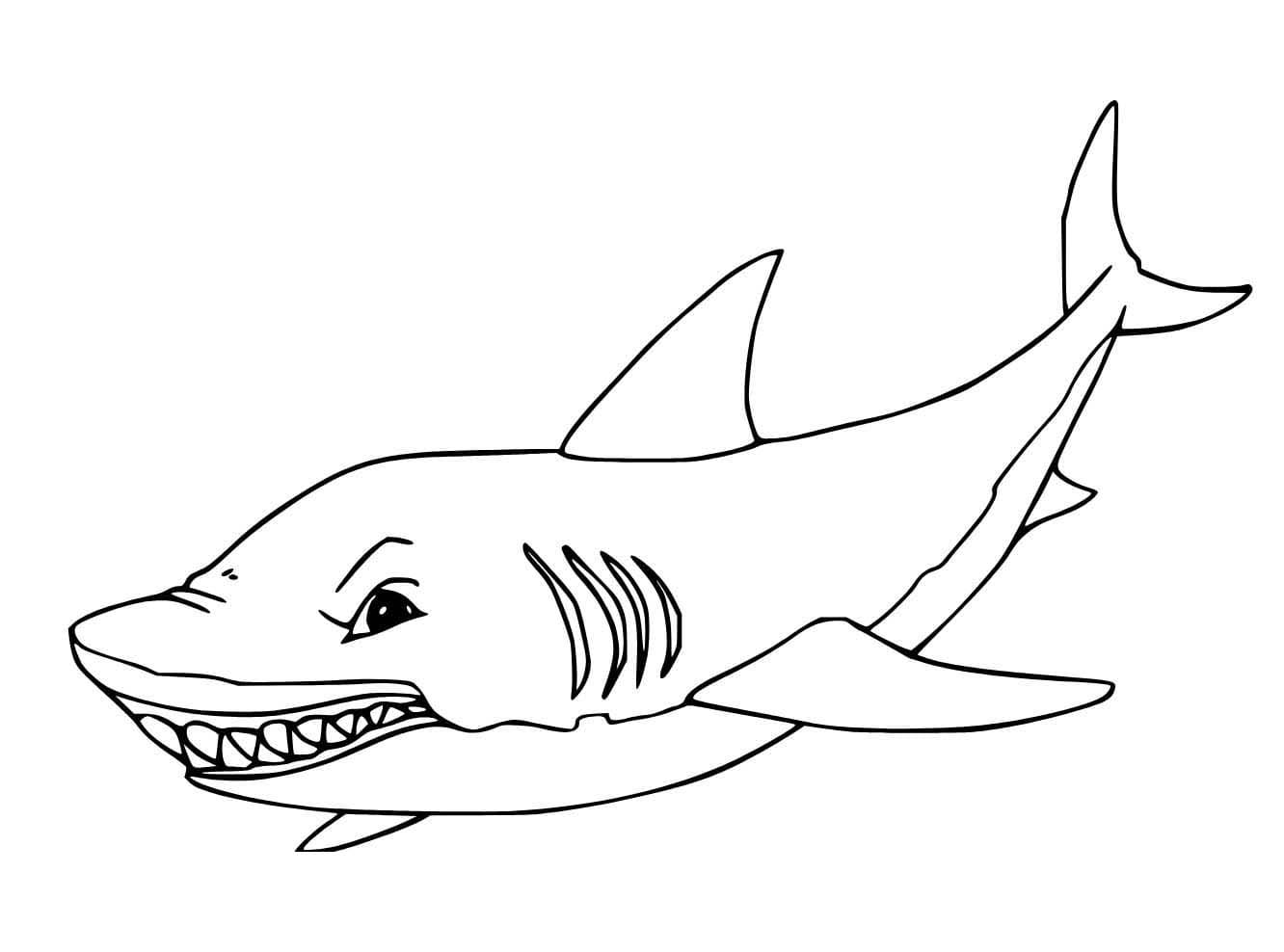 Fise de colorat cu Megalodon imprimabil gratuit simplu