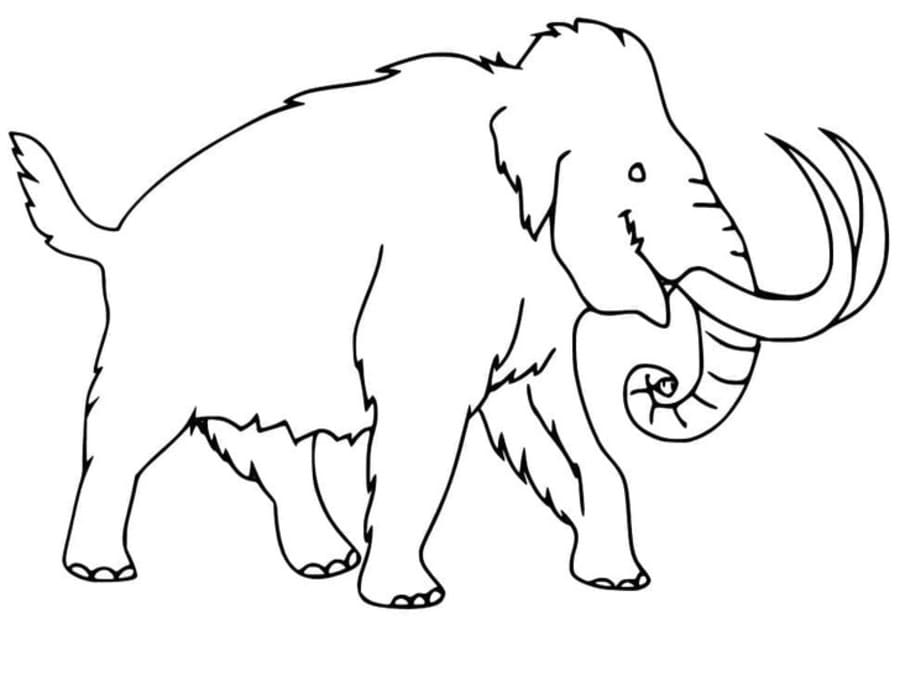 Fise de colorat cu Desenează Mamut bazic