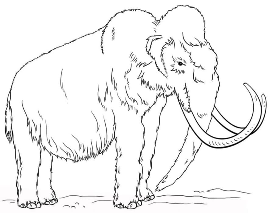 Fise de colorat cu Desenează Mamut imprimabil gratuit uşor