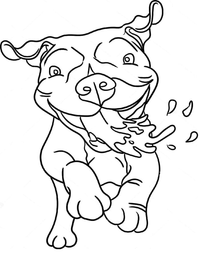Planse de colorat cu Pitbull