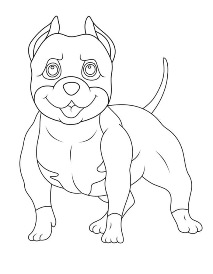 Fise de colorat cu Desenează Pitbull imprimabil uşor