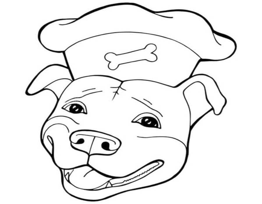 Fise de colorat cu Desenează Pitbull uşor la copii