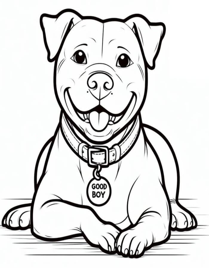 Fise de colorat cu Desenează Pitbull