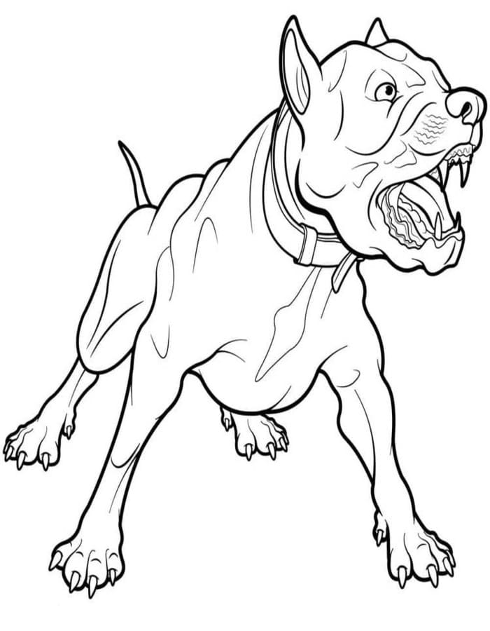 Fise de colorat cu Pitbull gratuit pentru copii