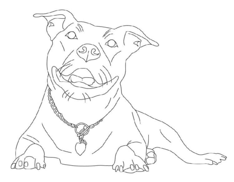 Fise de colorat cu Pitbull gratuit uşor