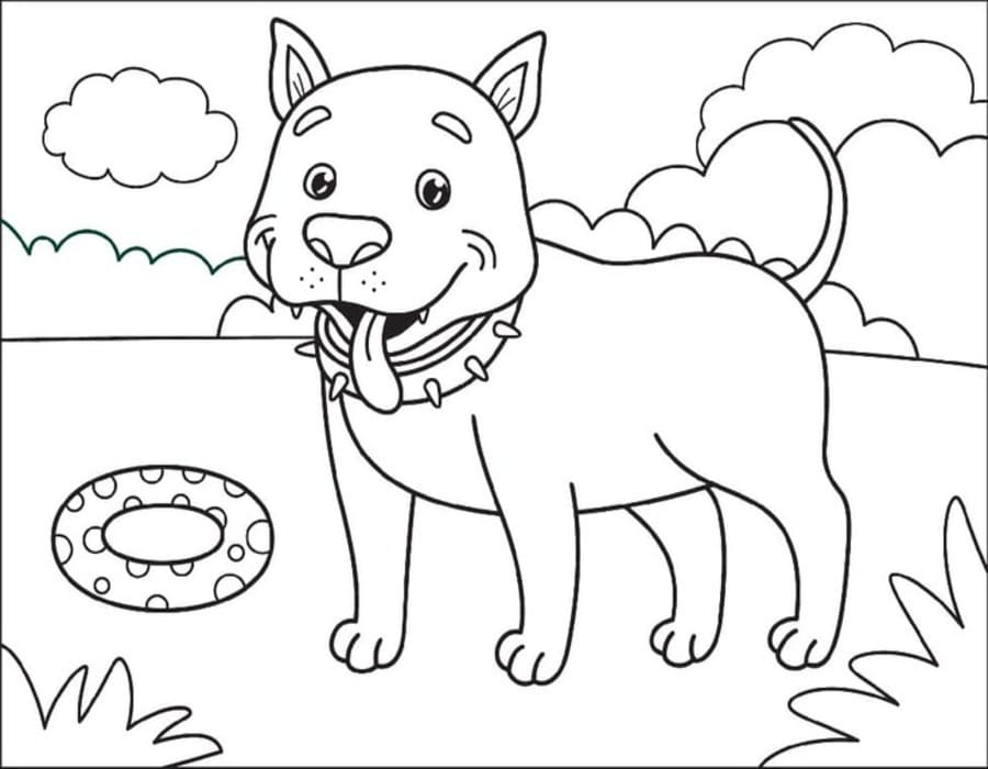 Fise de colorat cu Pitbull gratuit