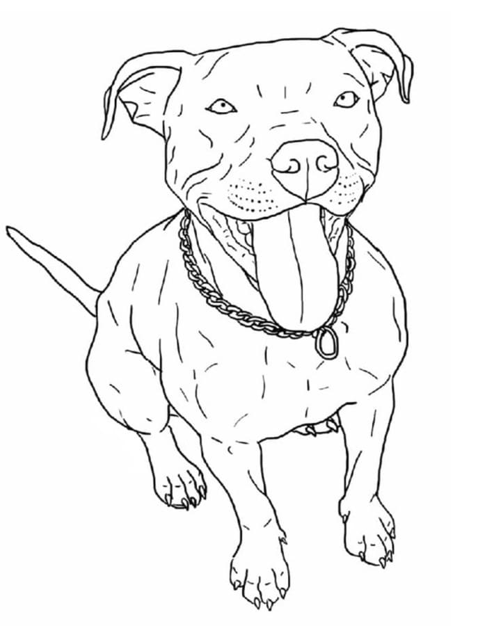 Fise de colorat cu Pitbull imprimabil gratuit pentru copii