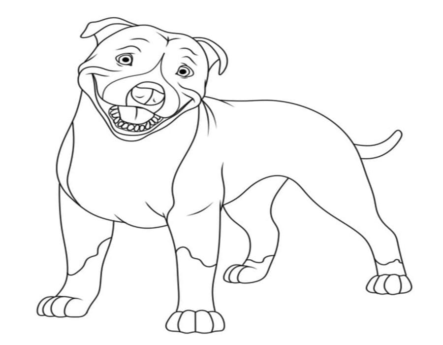 Fise de colorat cu Pitbull imprimabil gratuit uşor
