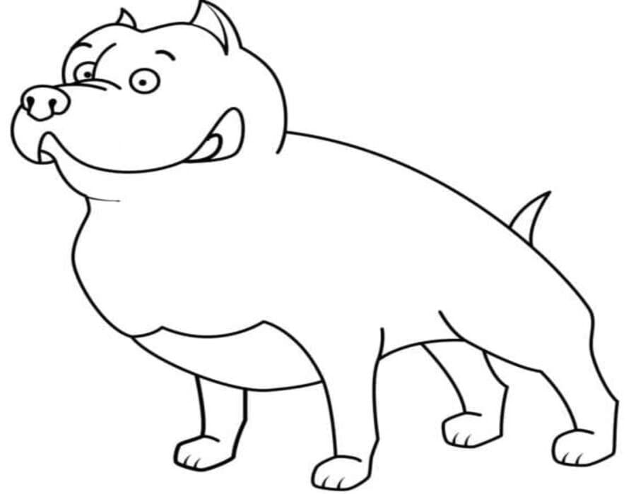 Fise de colorat cu Pitbull simplu la copii