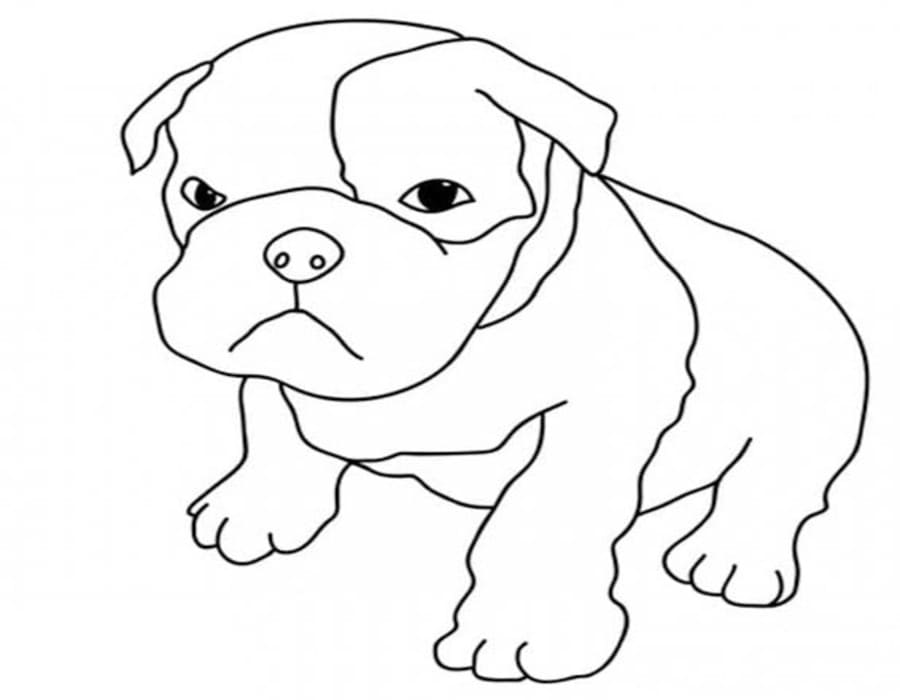 Fise de colorat cu Pitbull uşor la copii