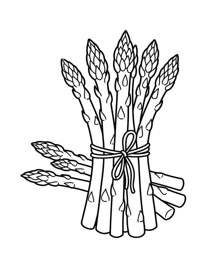 Planse de colorat cu Sparanghel
